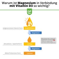 Sun Green - Vitamin D3 & K2 mit Magnesium & Vitamin B6 - vegan - 60 Kapseln